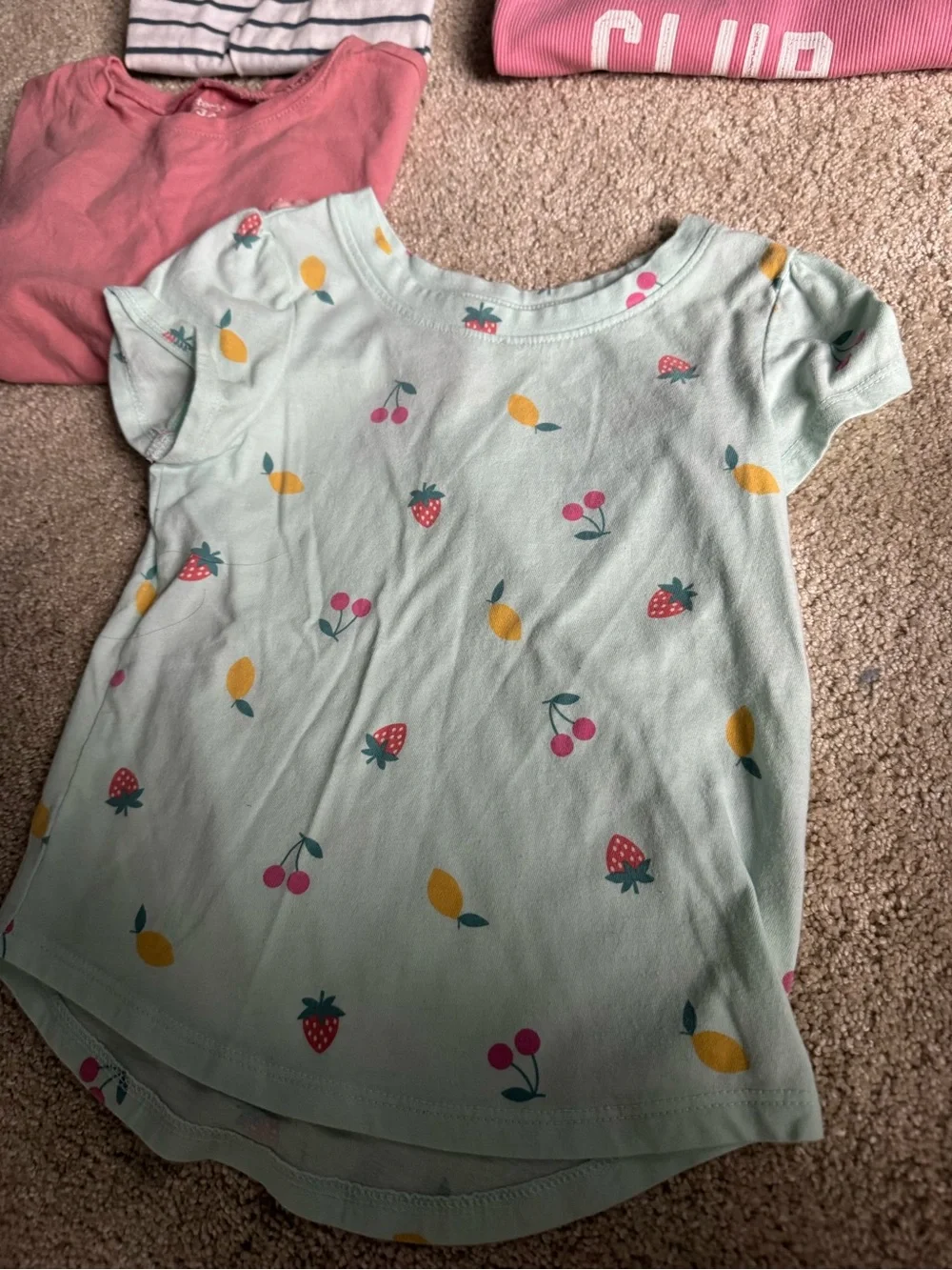 3T Girls Shirt Bundle -Carter’s & Cat & Jack